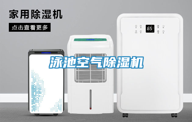 泳池空气猫咪成人官网
