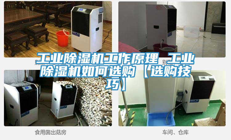 工业猫咪成人官网工作原理 工业猫咪成人官网如何选购【选购技巧】