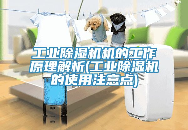 工业猫咪成人官网机的工作原理解析(工业猫咪成人官网的使用注意点)