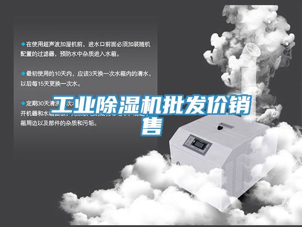 工业猫咪成人官网批发价销售