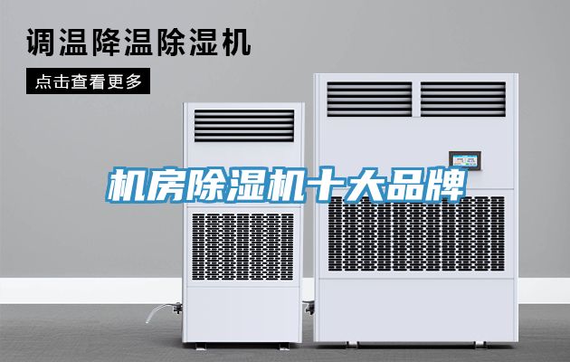 机房猫咪成人官网十大品牌