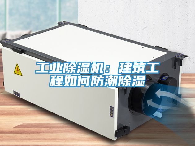 工业猫咪成人官网：建筑工程如何防潮除湿