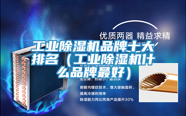 工业猫咪成人官网品牌十大排名（工业猫咪成人官网什么品牌最好）