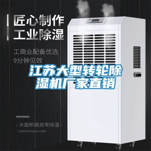 江苏大型转轮猫咪成人官网厂家直销