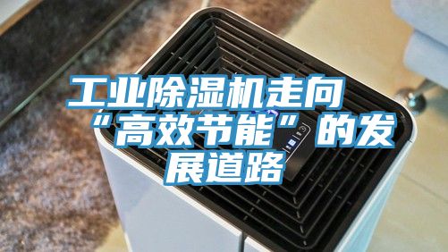 工业猫咪成人官网走向“高效节能”的发展道路