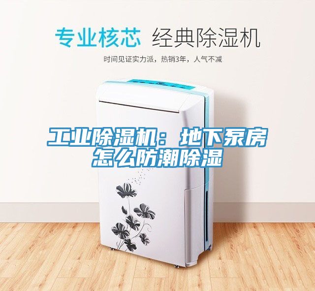 工业猫咪成人官网：地下泵房怎么防潮除湿