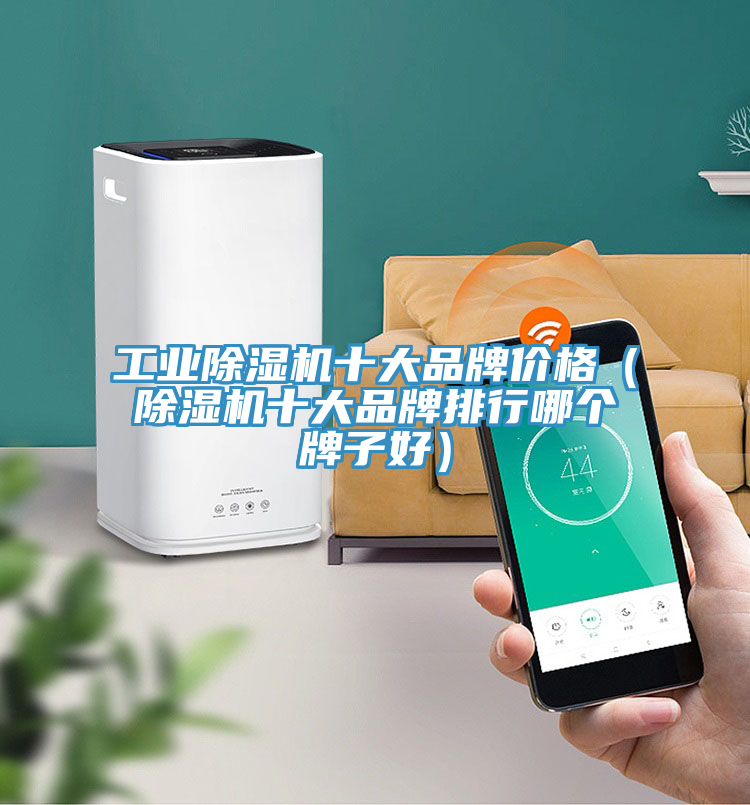 工业猫咪成人官网十大品牌价格（猫咪成人官网十大品牌排行哪个牌子好）