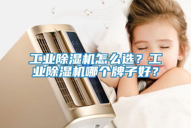 工业猫咪成人官网怎么选？工业猫咪成人官网哪个牌子好？
