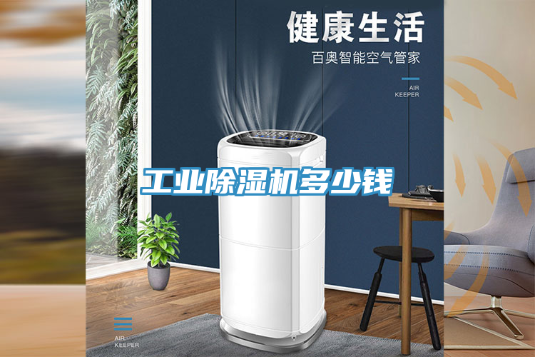 工业猫咪成人官网多少钱