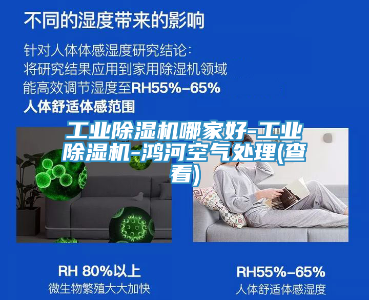 工业猫咪成人官网哪家好-工业猫咪成人官网-鸿河空气处理(查看)