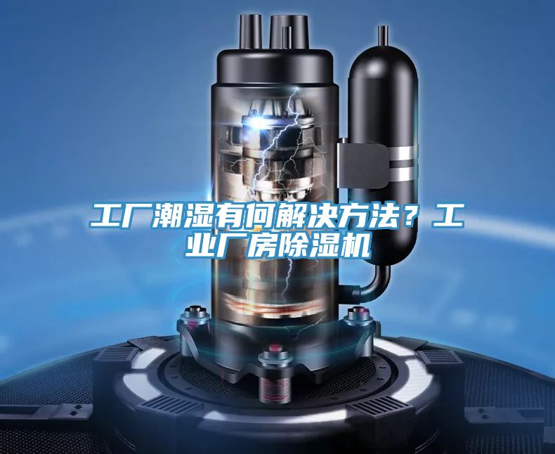 工厂潮湿有何解决方法？工业厂房猫咪成人官网