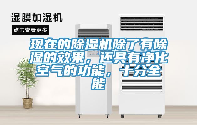 现在的猫咪成人官网除了有除湿的效果，还具有净化空气的功能，十分全能