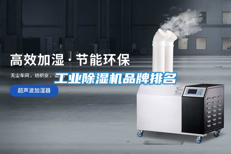工业猫咪成人官网品牌排名