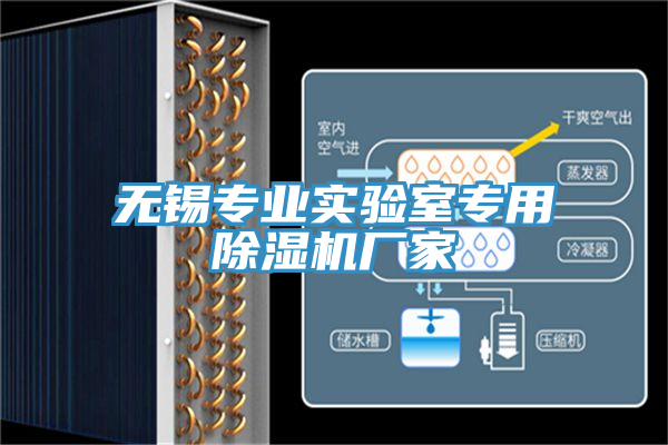 无锡专业实验室专用猫咪成人官网厂家