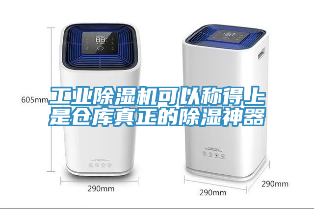 工业猫咪成人官网可以称得上是仓库真正的除湿神器