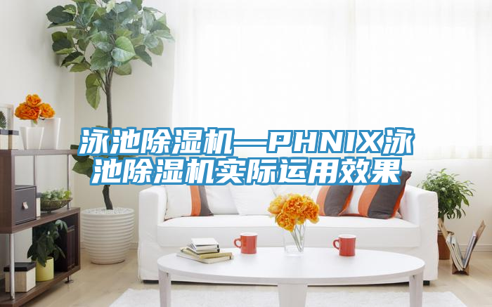 泳池猫咪成人官网—PHNIX泳池猫咪成人官网实际运用效果
