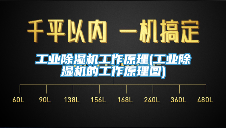 工业猫咪成人官网工作原理(工业猫咪成人官网的工作原理图)