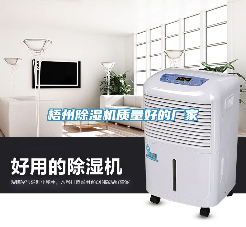 梧州猫咪成人官网质量好的厂家