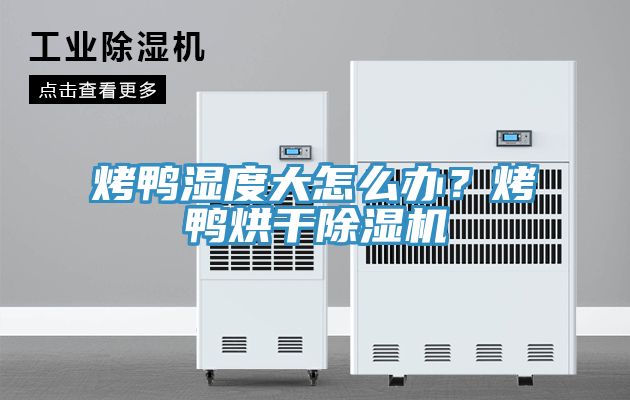 烤鸭湿度大怎么办？烤鸭烘干猫咪成人官网