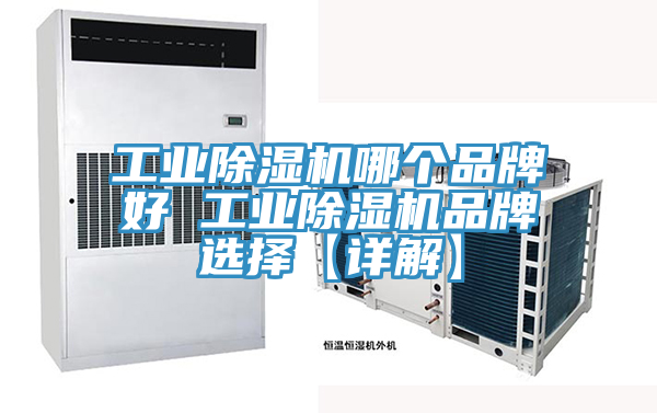 工业猫咪成人官网哪个品牌好 工业猫咪成人官网品牌选择【详解】