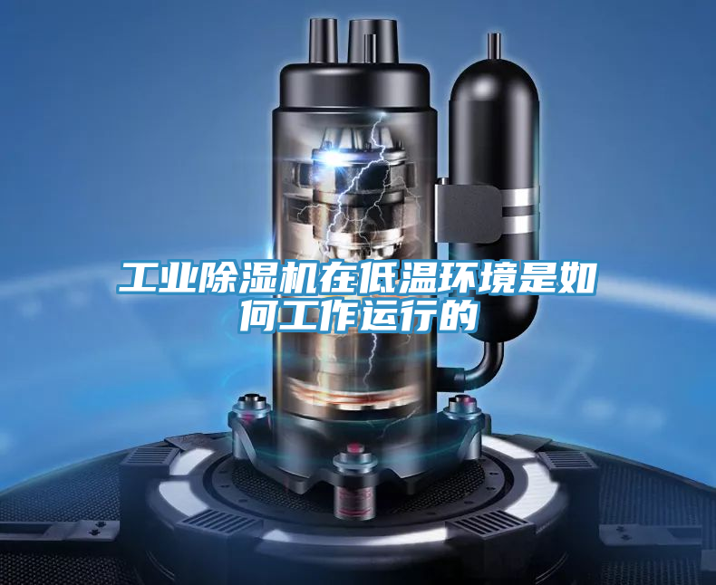 工业猫咪成人官网在低温环境是如何工作运行的
