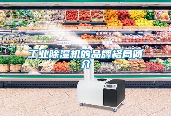 工业猫咪成人官网的品牌格局简介