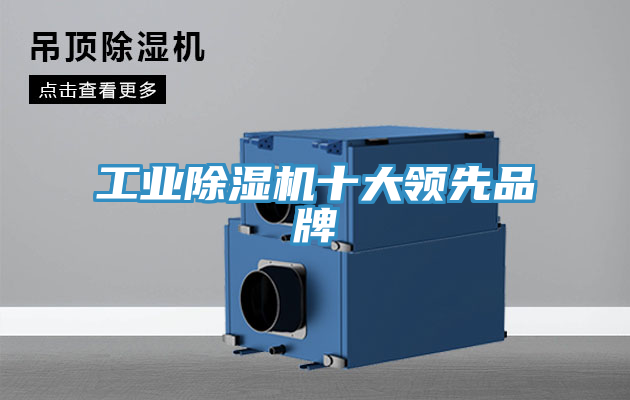 工业猫咪成人官网十大领先品牌