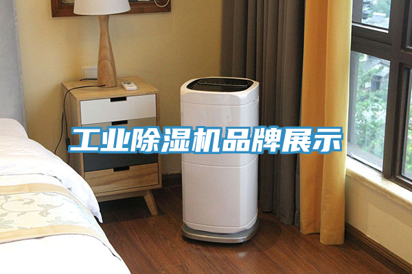 工业猫咪成人官网品牌展示