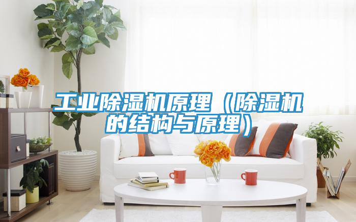 工业猫咪成人官网原理（猫咪成人官网的结构与原理）
