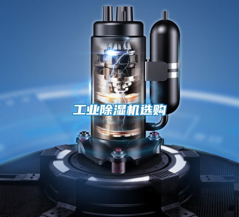 工业猫咪成人官网选购