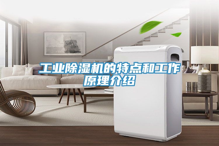 工业猫咪成人官网的特点和工作原理介绍