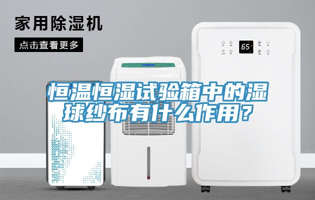 恒温恒湿试验箱中的湿球纱布有什么作用？