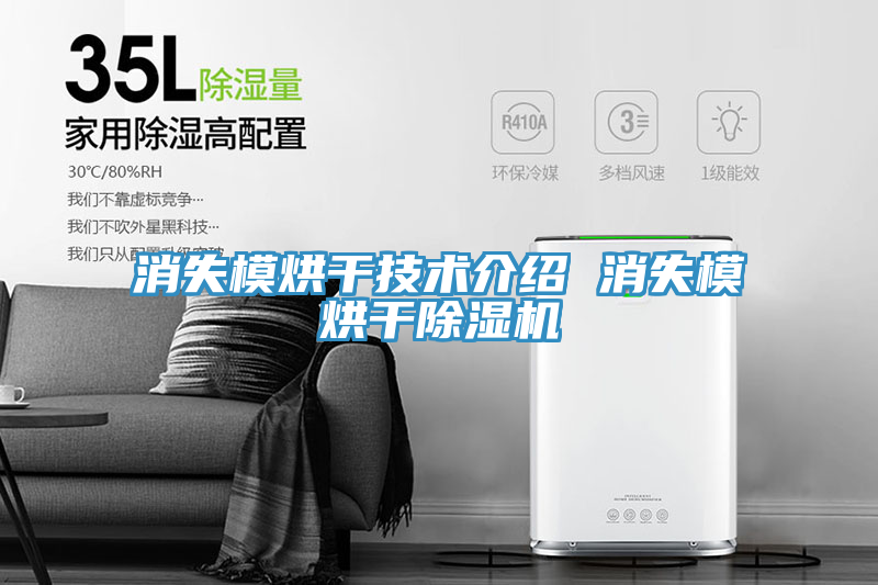消失模烘干技术介绍 消失模烘干猫咪成人官网
