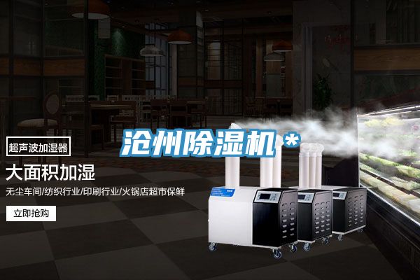 沧州猫咪成人官网＊