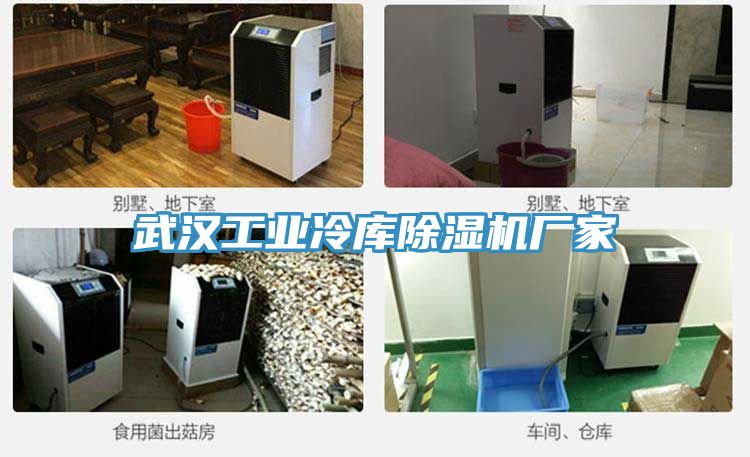 武汉工业冷库猫咪成人官网厂家