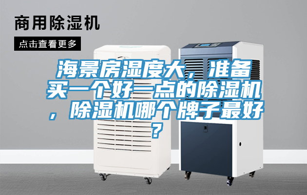 海景房湿度大，准备买一个好一点的猫咪成人官网，猫咪成人官网哪个牌子最好？