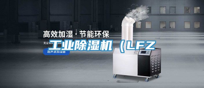 工业猫咪成人官网（LFZ