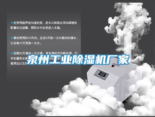 泉州工业猫咪成人官网厂家