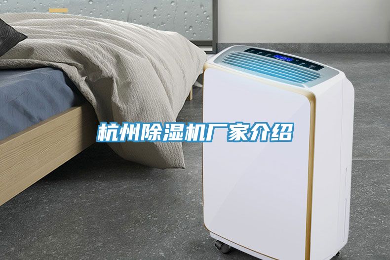 杭州猫咪成人官网厂家介绍
