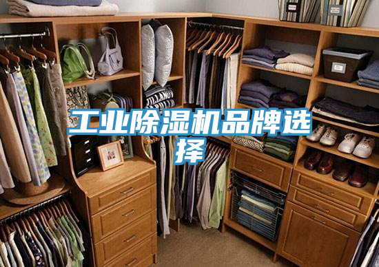 工业猫咪成人官网品牌选择
