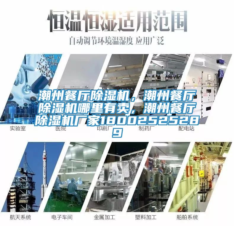 潮州餐厅猫咪成人官网，潮州餐厅猫咪成人官网哪里有卖，潮州餐厅猫咪成人官网厂家18002525289