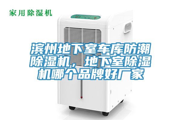 滨州地下室车库防潮猫咪成人官网，地下室猫咪成人官网哪个品牌好厂家