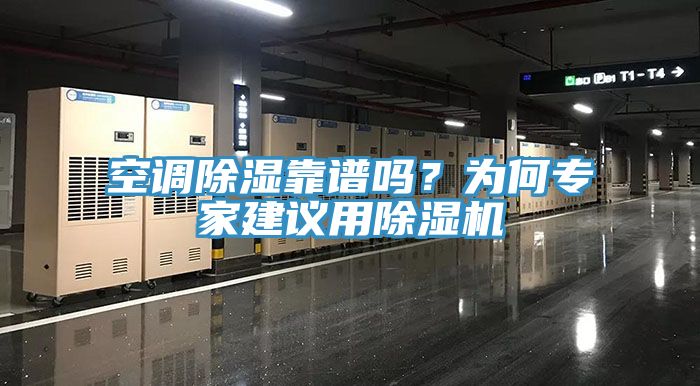 空调除湿靠谱吗？为何专家建议用猫咪成人官网