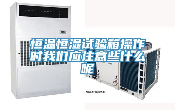 恒温恒湿试验箱操作时猫咪成人在线视频应注意些什么呢