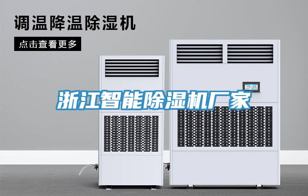 浙江智能猫咪成人官网厂家