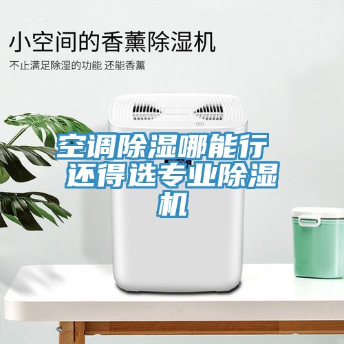 空调除湿哪能行 还得选专业猫咪成人官网