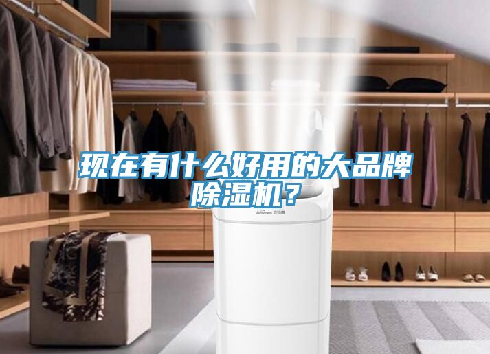 现在有什么好用的大品牌猫咪成人官网？