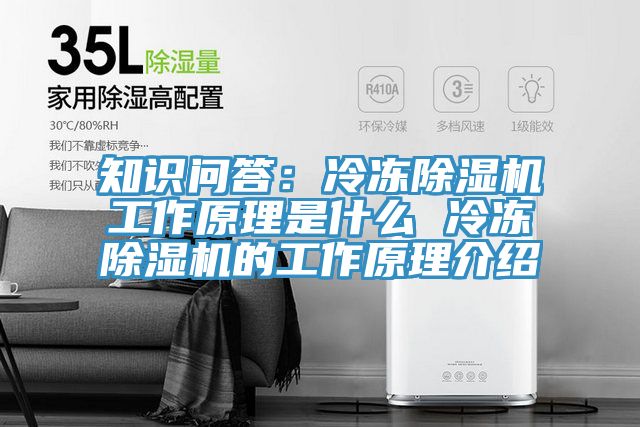 知识问答：冷冻猫咪成人官网工作原理是什么 冷冻猫咪成人官网的工作原理介绍