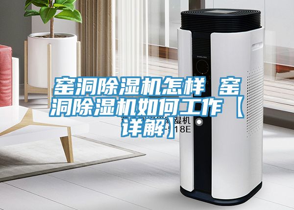 窑洞猫咪成人官网怎样 窑洞猫咪成人官网如何工作【详解】