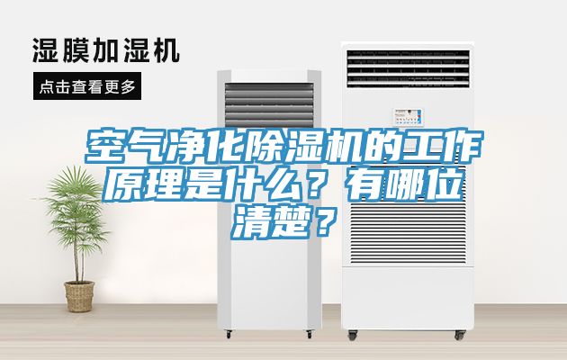 空气净化猫咪成人官网的工作原理是什么？有哪位清楚？